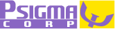 PSIGMA CORP