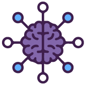 Analisis completo de preferencas cerebrales