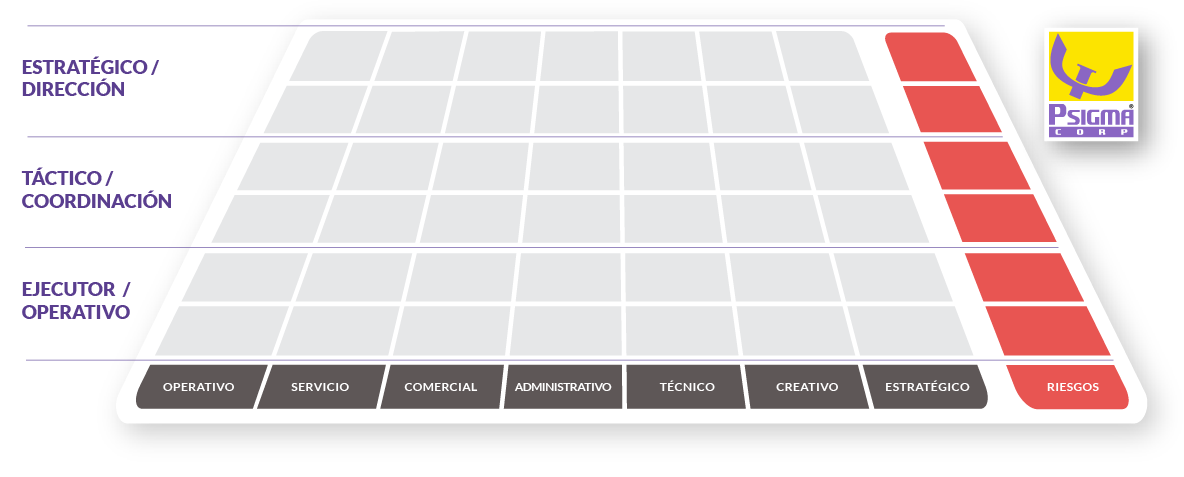 Matriz de Perfiles por Rol