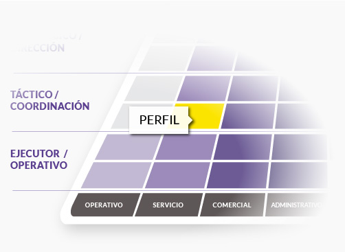 Perfil Psigma