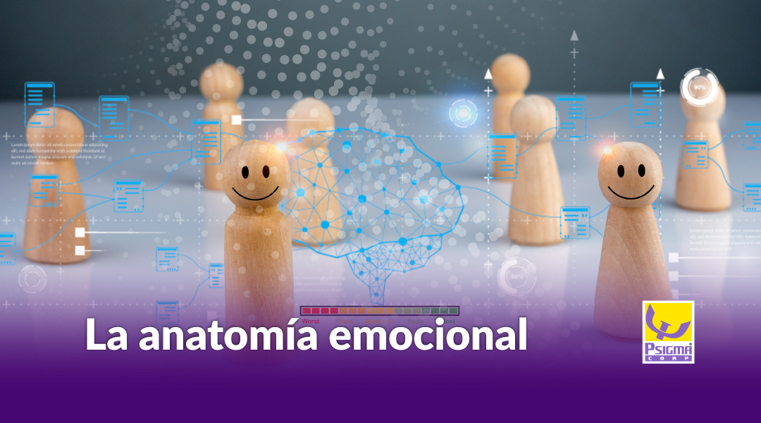 la anatomía emocional de las organizaciones que perduran