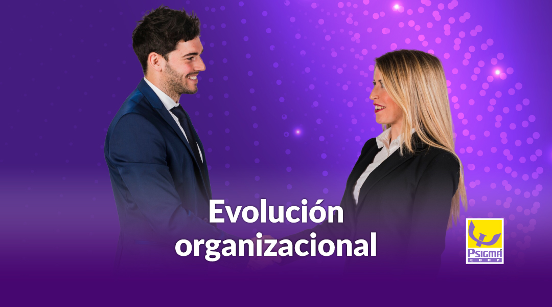 Cuando la comprensión precede a la decisión