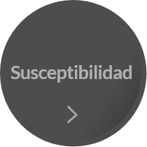 Susceptibilidad