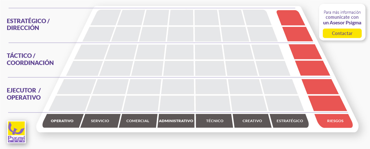 Mockup Matriz Perfiles Laborales