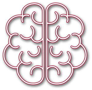 Caracteristicas Inteligencia Ejecutiva