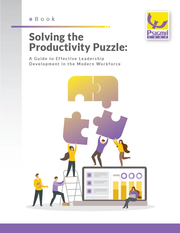eBook Solving the Productivity Puzzle: