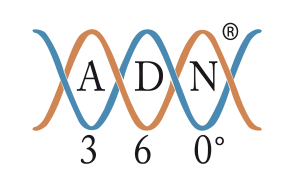 ADN 360 - Logo