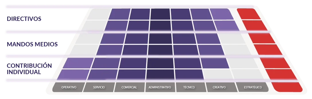 Matriz Niveles de Roles