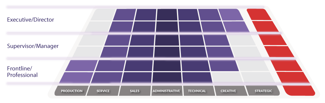 Roles Levels Matrix