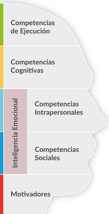 Evaluación Personalizada SER competencias evaluadas